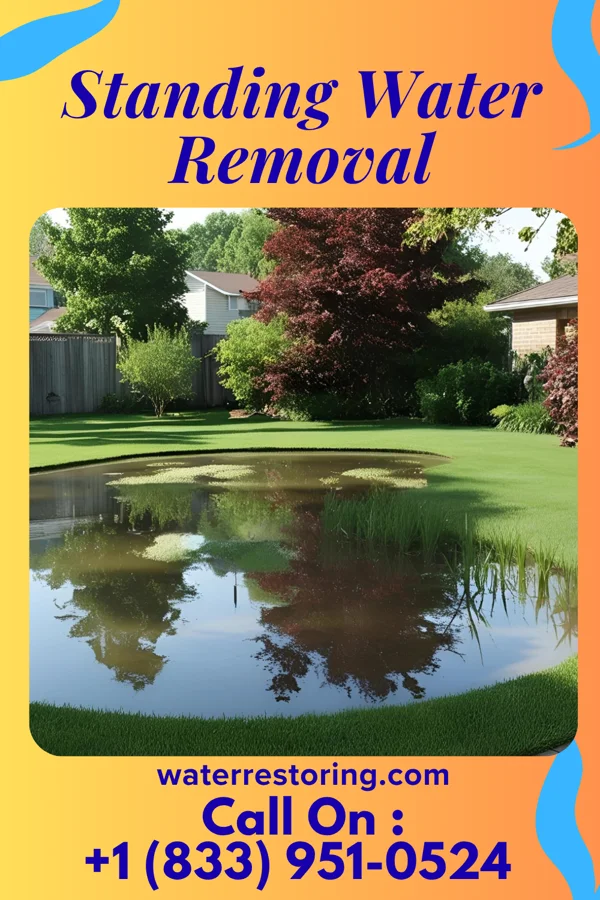 Standing Water Removal in Missouri City, TX